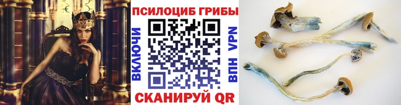Псилоцибиновые грибы мицелий  закладка  Алушта 